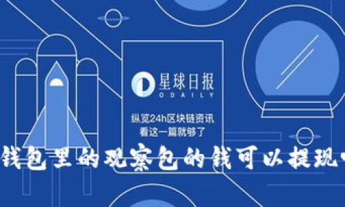 TP钱包里的观察包的钱可以提现吗?
