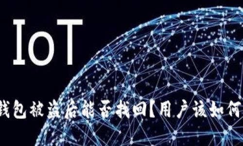 : TP钱包被盗后能否找回?用户该如何防范?