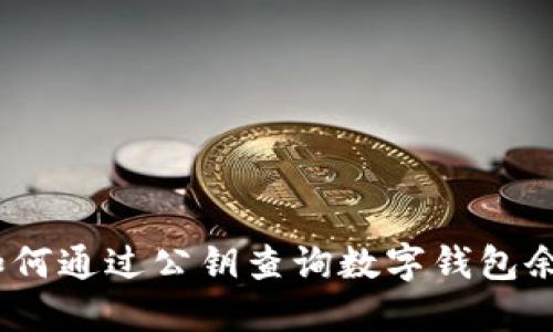 : 如何通过公钥查询数字钱包余额？