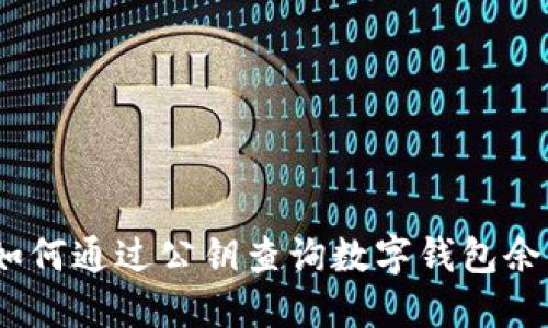 : 如何通过公钥查询数字钱包余额？