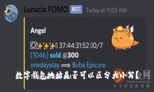 数字钱包地址是否可以区分大小写?
