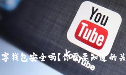 钱放数字钱包安全吗？你需要知道的关键因素