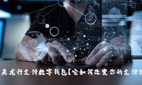 什么是龙行支付数字钱包？它如何改变你的支付体验？