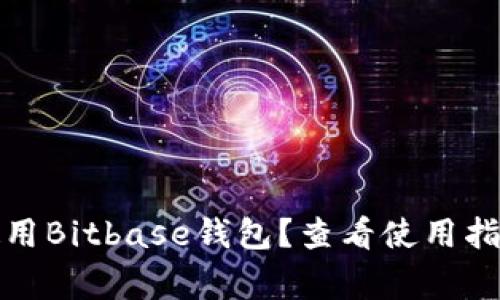 如何下载和使用Bitbase钱包？查看使用指南和注意事项