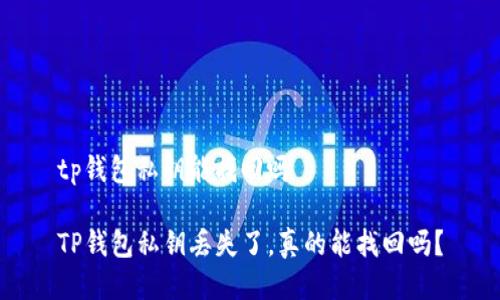 tp钱包私钥能找回吗

TP钱包私钥丢失了，真的能找回吗？