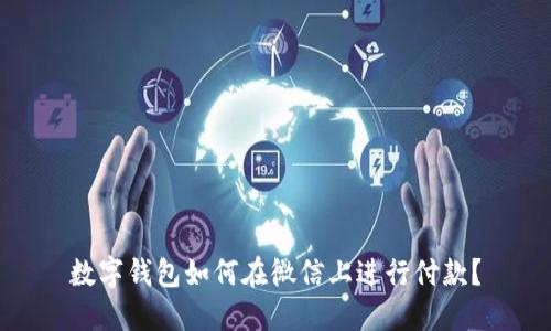 数字钱包如何在微信上进行付款?