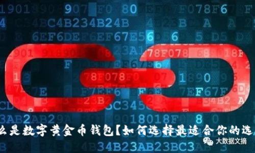 什么是数字黄金币钱包？如何选择最适合你的选择？