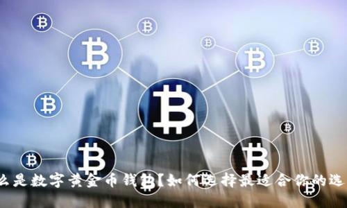 什么是数字黄金币钱包？如何选择最适合你的选择？