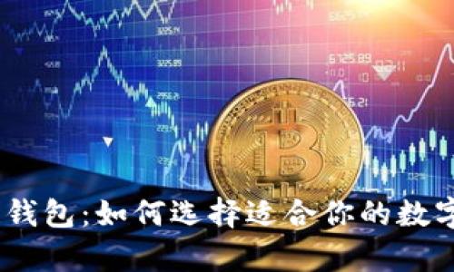纽约523区块链钱包:如何选择适合你的数字资产存储方案?