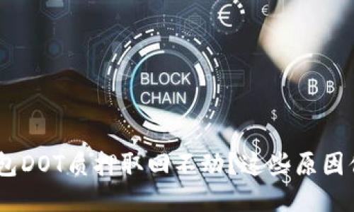ziaotiTP钱包DOT质押取回不动?这些原因你必须知道!