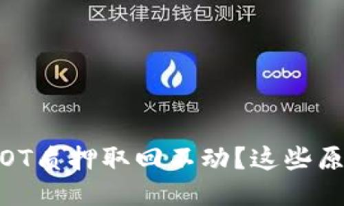 ziaotiTP钱包DOT质押取回不动?这些原因你必须知道!