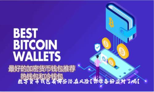 数字货币钱包有哪些潜在风险?你准备好应对了吗?