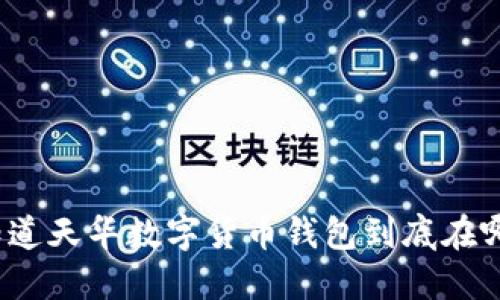 你知道天华数字货币钱包到底在哪吗?