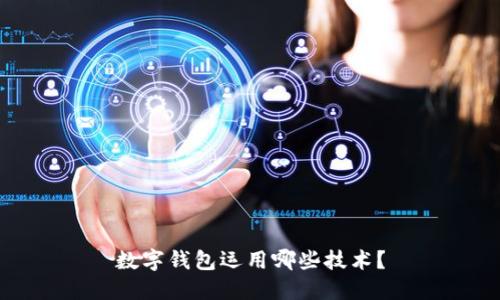 数字钱包运用哪些技术?